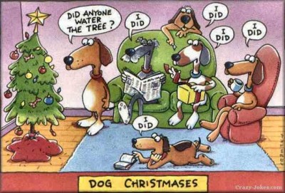 dogtree-400x271 Merry Christmas From Dragon Blogger