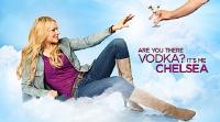 January Sitcom Round-up: Work It, Are You There, Chelsea?, Rob