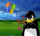 Linux for the Technically Proficient